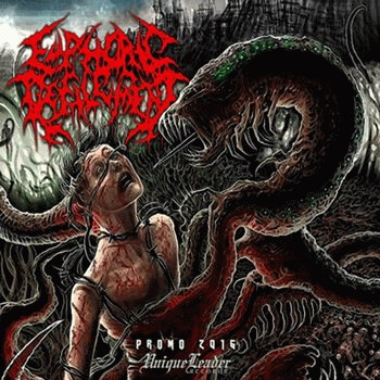 Euphoric Defilement : Promo 2016